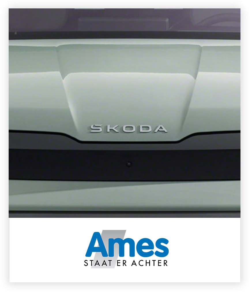 Skoda Logo Lichtblauw